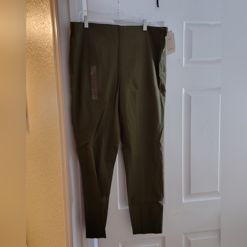 Free Assembly Pants